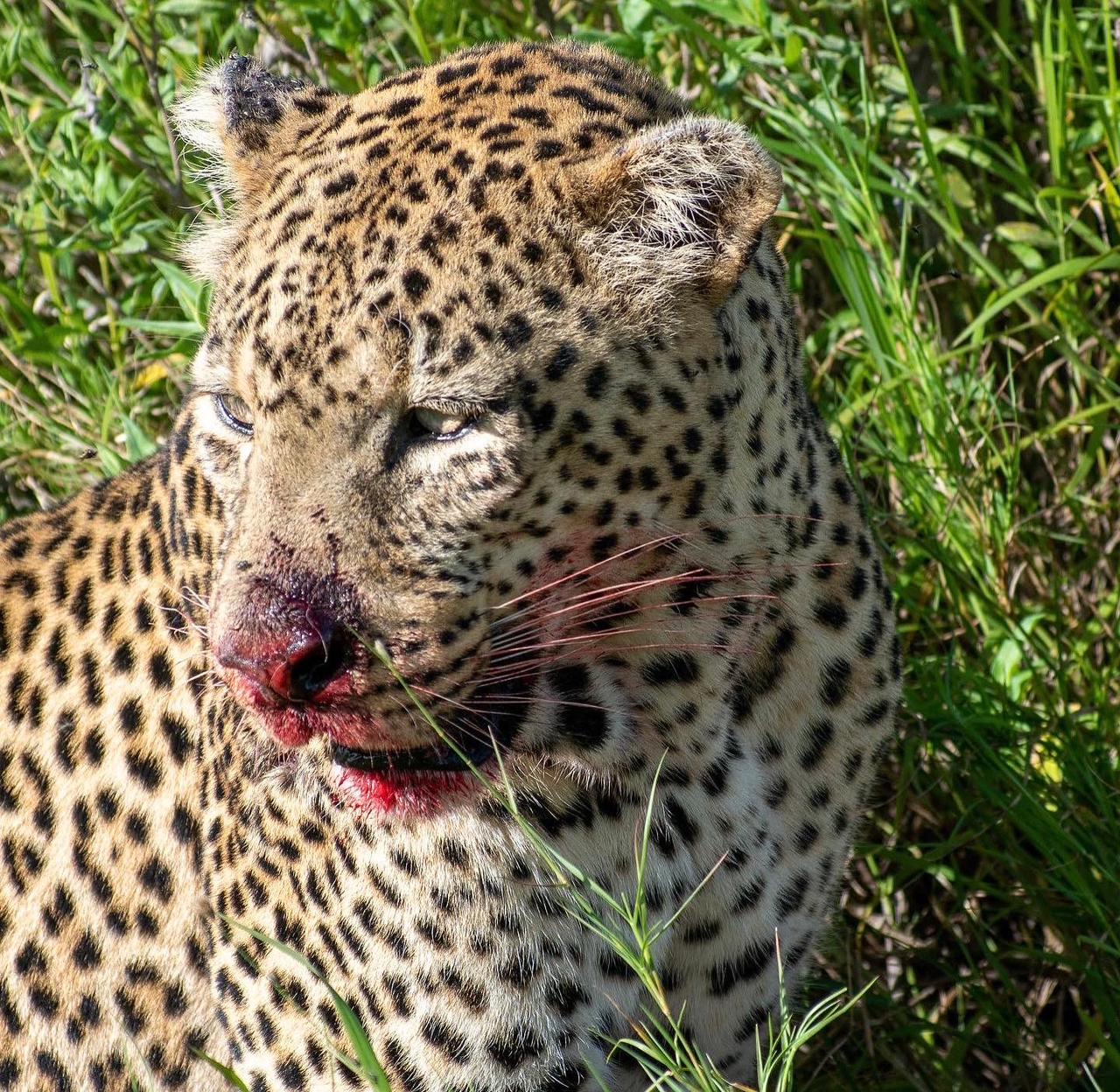 Image number 1 for 4 Days Amazing Tanzania Safari