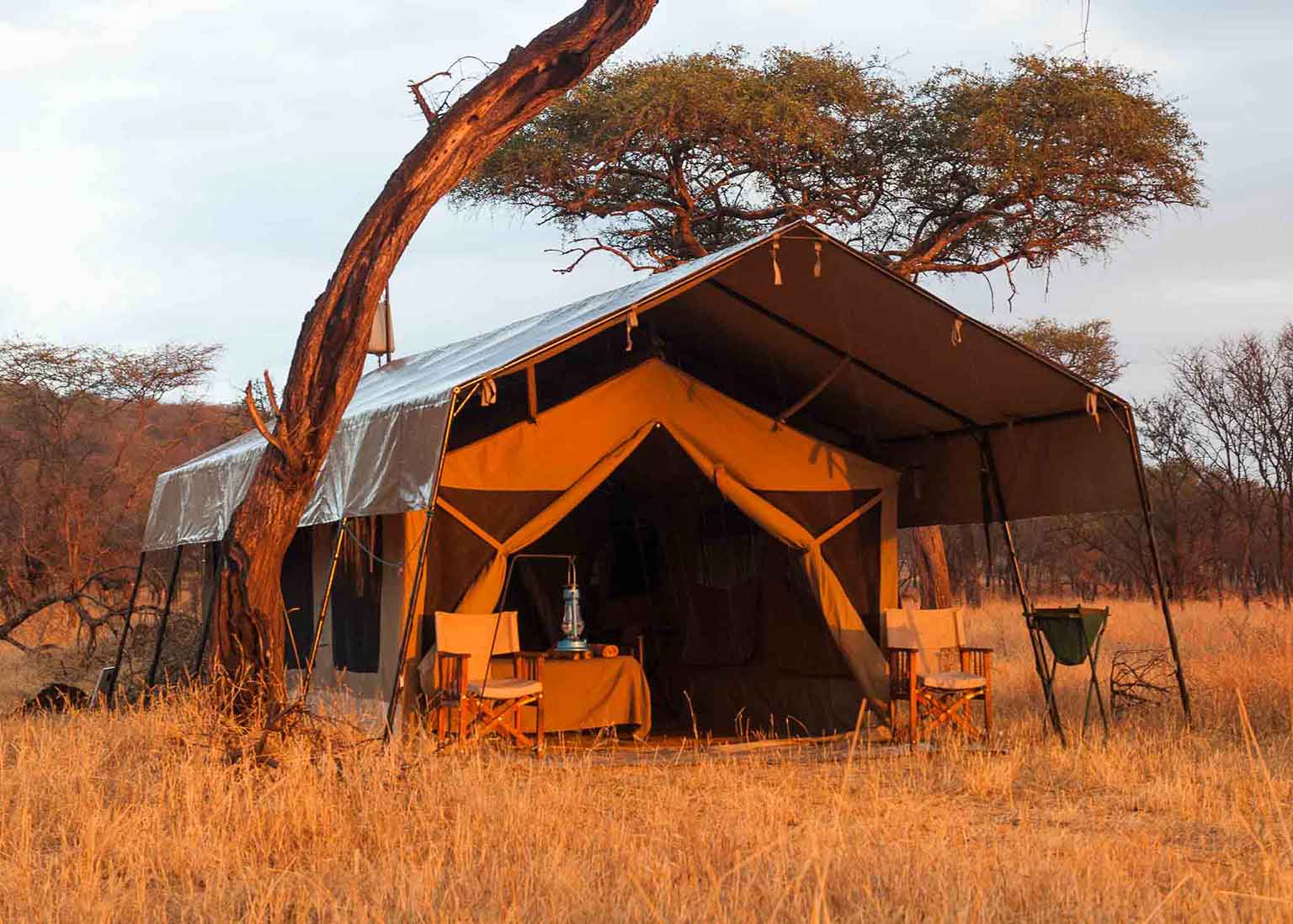 Image number 2 for Tanzania Mid-range Safari Tour