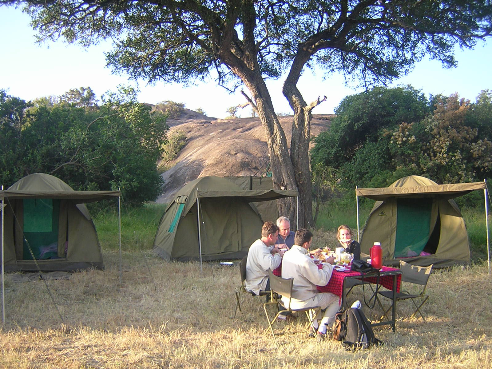 Image number 2 for  4 Days Tanzania Camping Safari