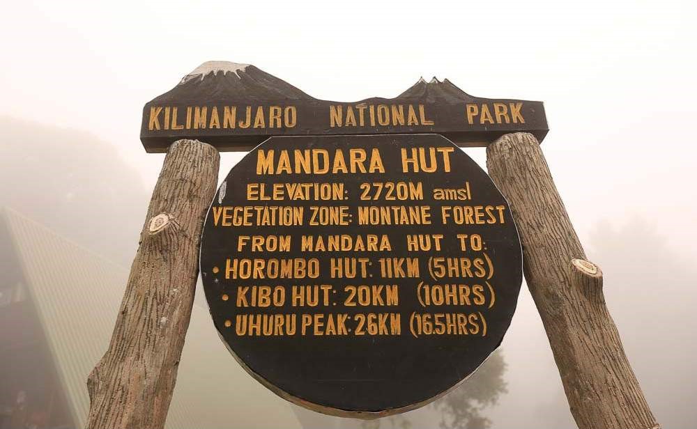 Image number 5 for 5-day Kilimanjaro Mountain Trekking-marangu Route