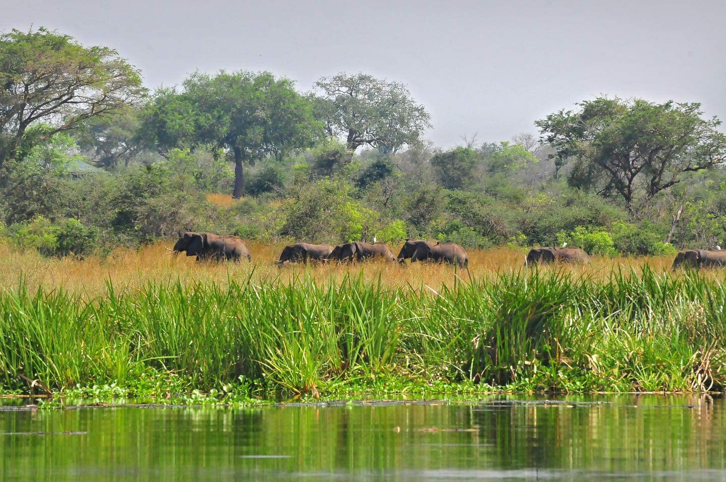 Image number 15 for 7 Days Uganda Safari