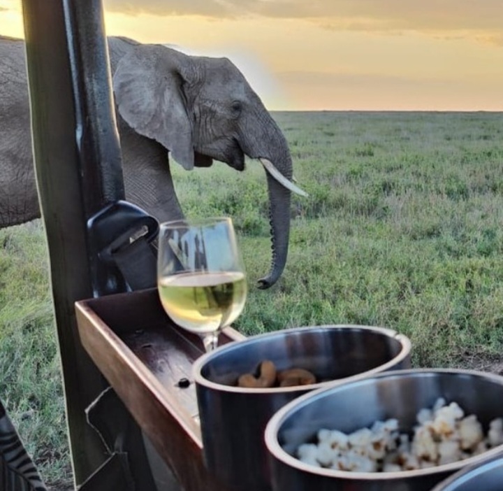 Image number 3 for 7 Days Authentic Safari In Tanzania