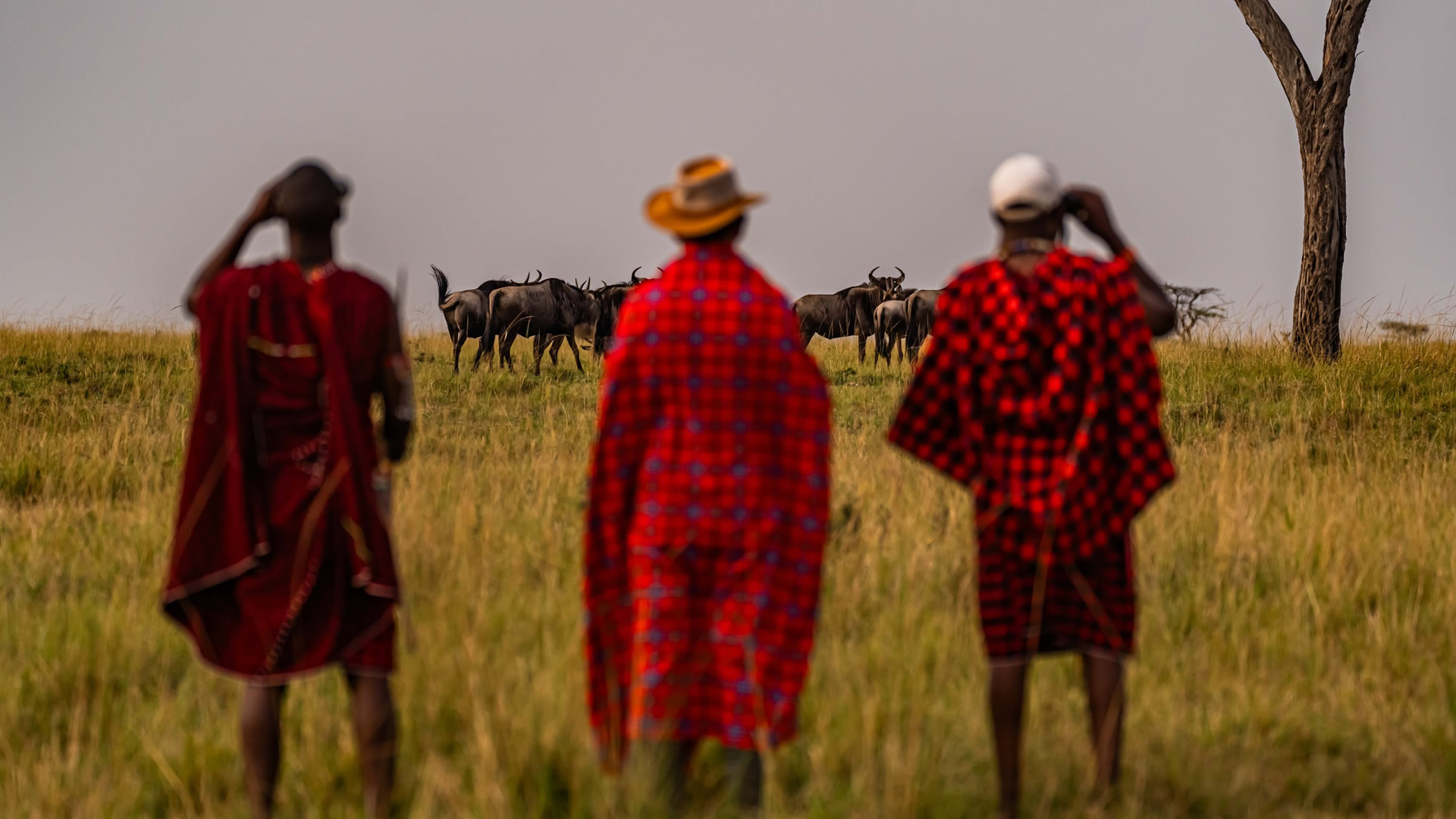 Image number 10 for 6-day Mt Kilimanjaro Amboseli, Nakuru & Masai Mara