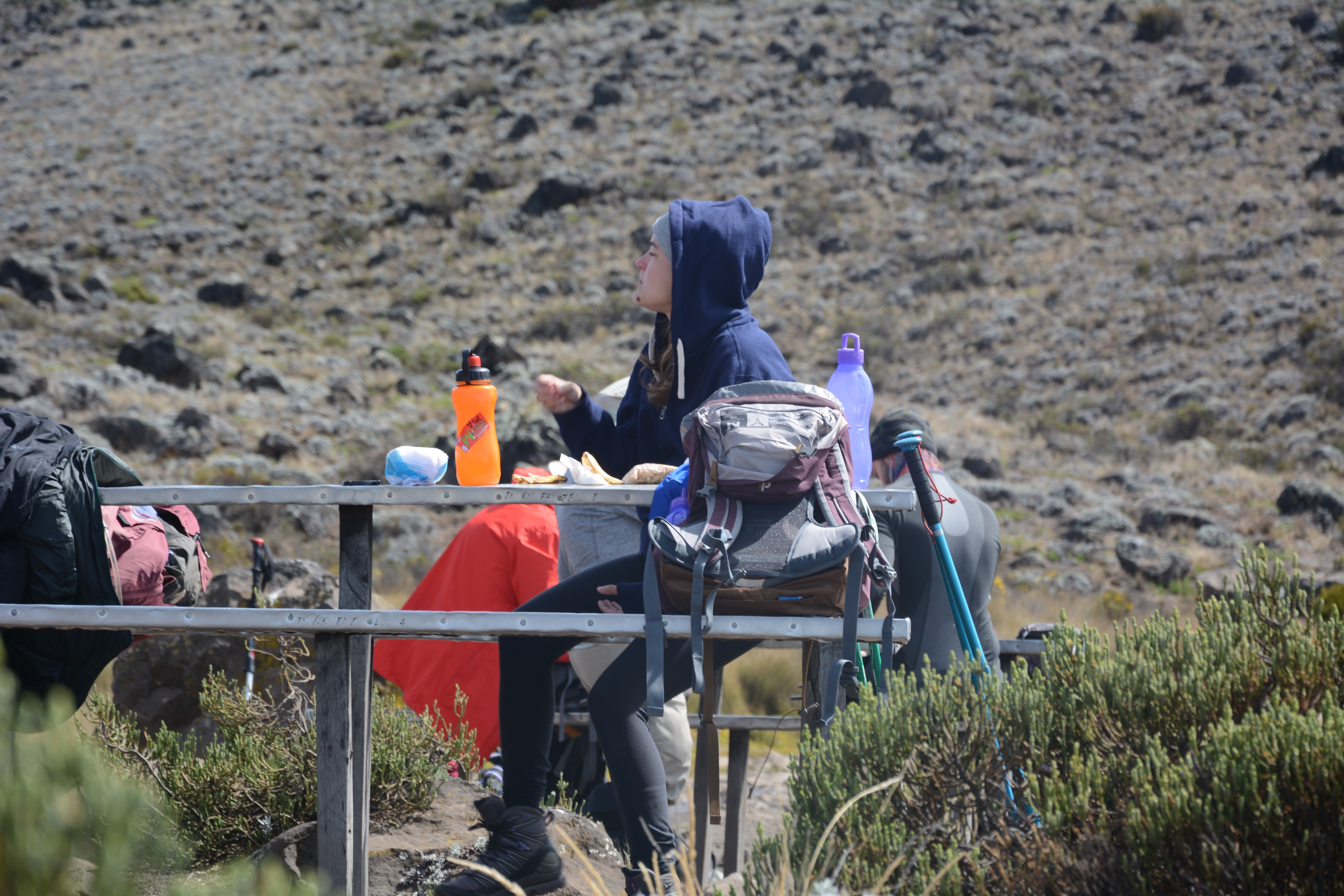 Image number 3 for 5 Days Marangu Route- Kilimanjaro Hiking