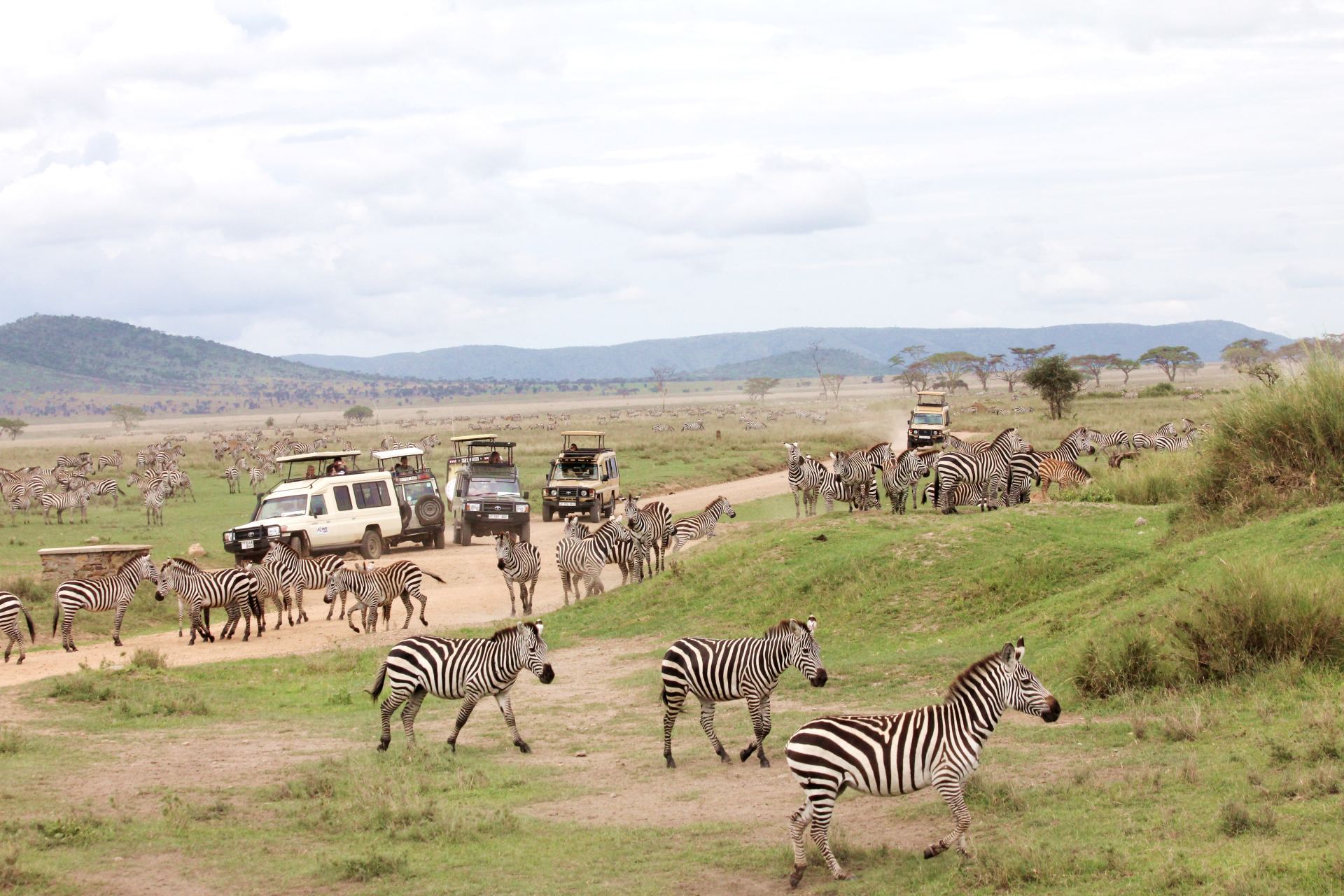 Image number 2 for 16 Days Combo Safaris Kenya And Tanzania