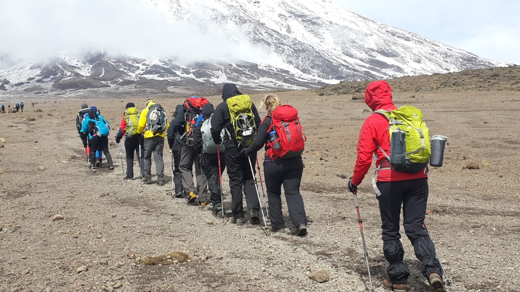Image number 4 for  7 Days Kilimanjaro Machame Route