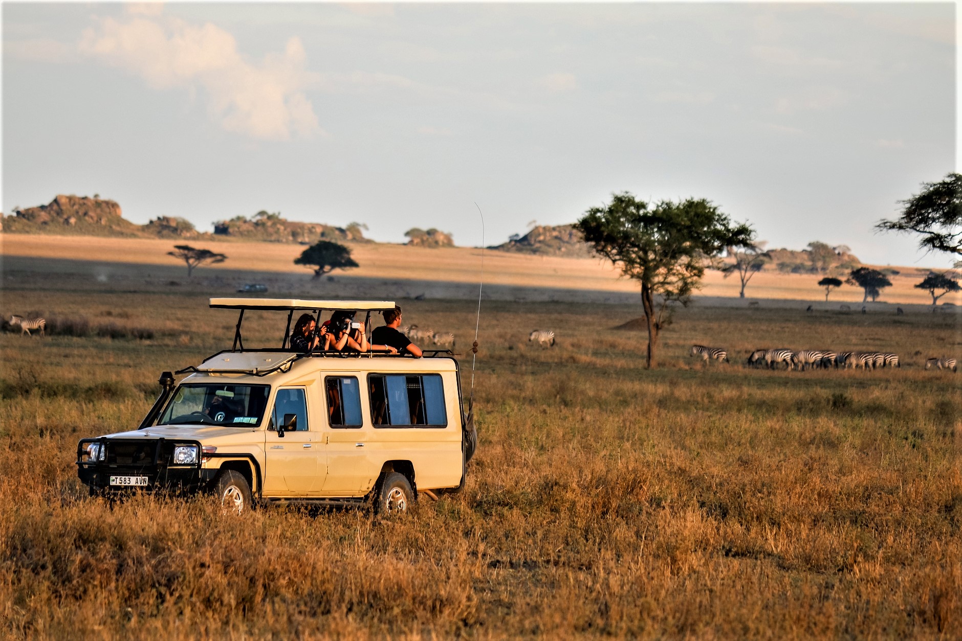 Image number 4 for Serengeti Fly-in Safaris