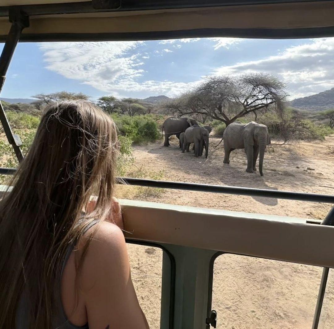 Image number 3 for 2 Days Tarangire And Lake Manyara Tour 