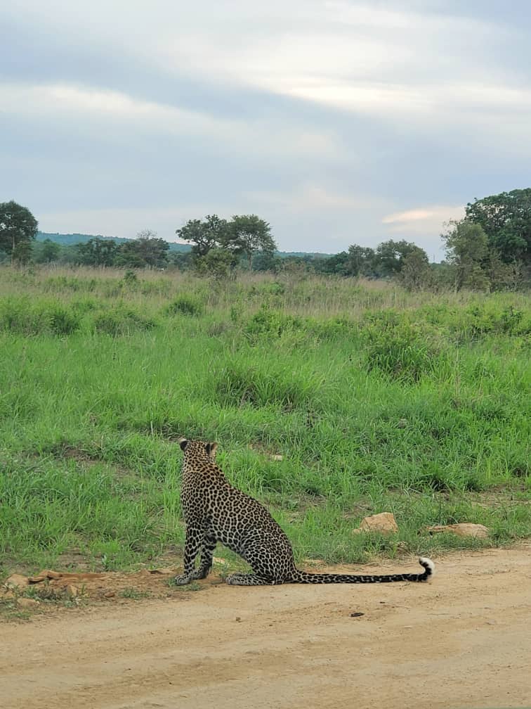 Image number 2 for Safari To Mikumi National Park