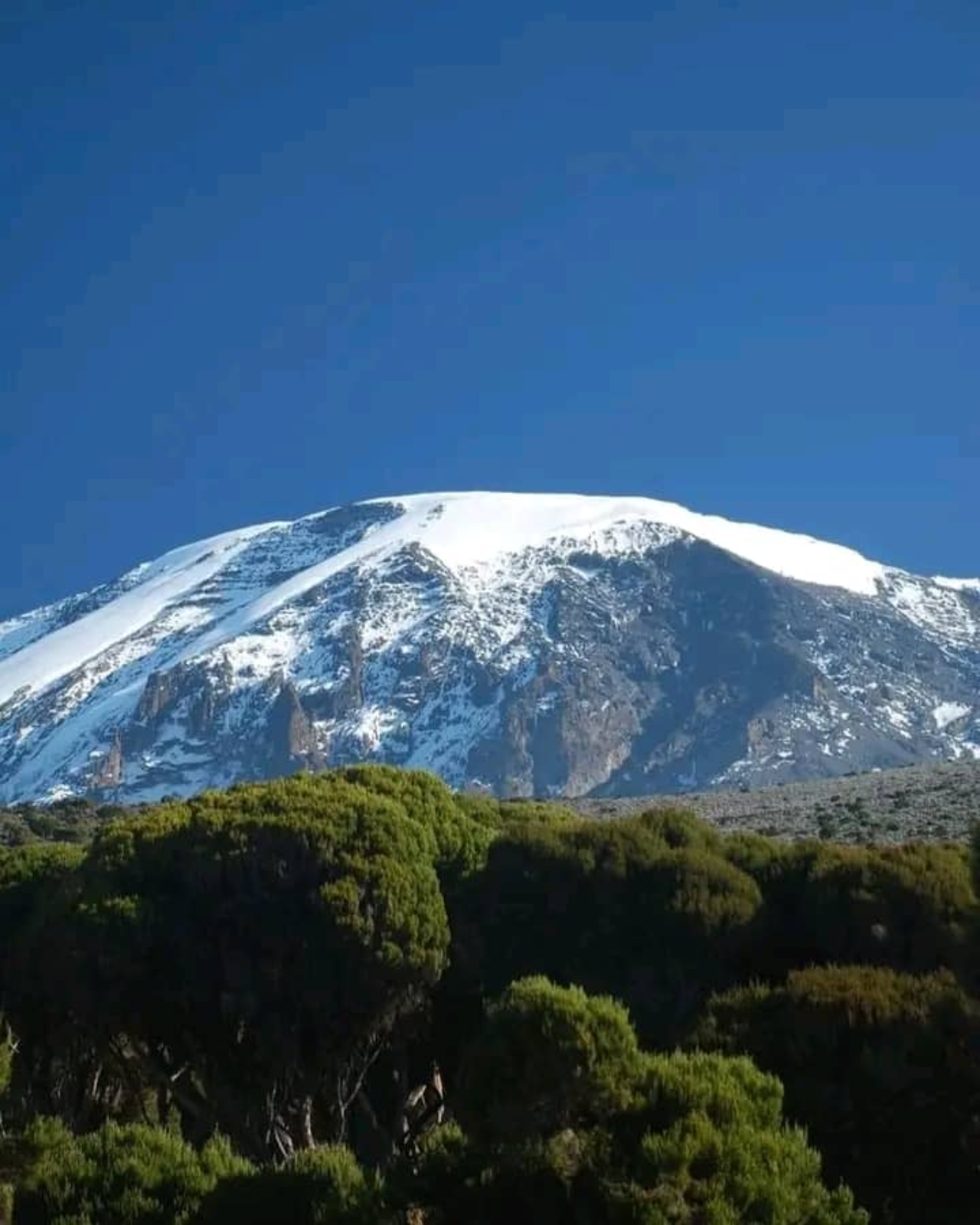 Image number 1 for 7 Days Machame Route Kilimanjaro Climbing Tour 