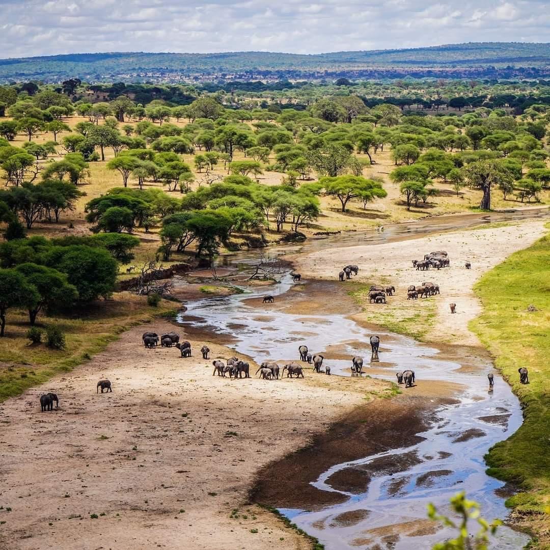Image number 2 for 4 Days Tanzania Safari