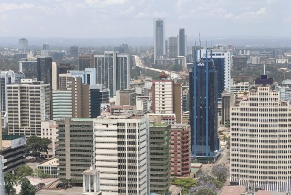 Image number 3 for Nairobi;  City Walk Tour