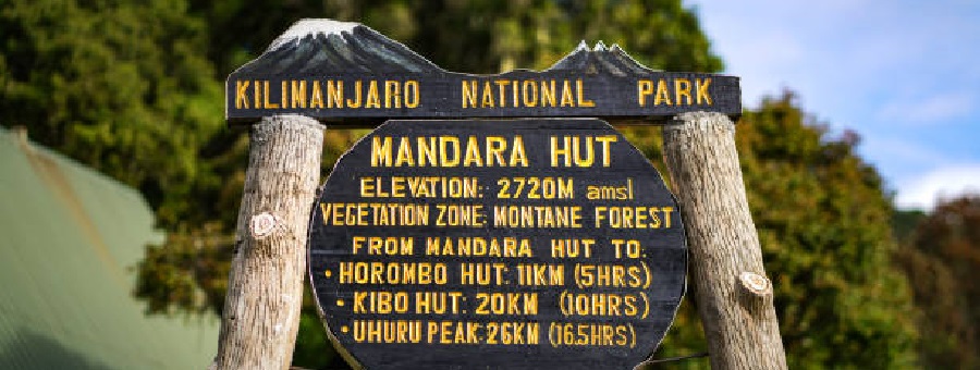 Image number 5 for Kilimanjaro Trek Marangu Route 5day Trek 7day Tour