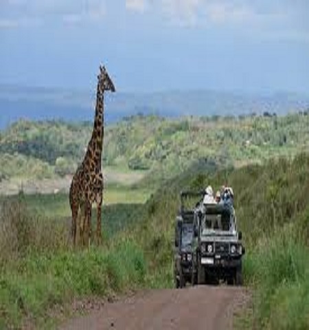 Image number 1 for The Best 1-day Trip To Ngorongoro Crater