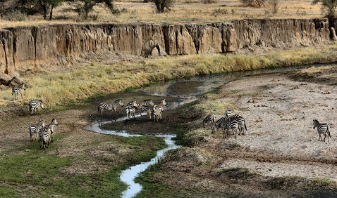 Image number 2 for 3 Days Safari In Tanzania