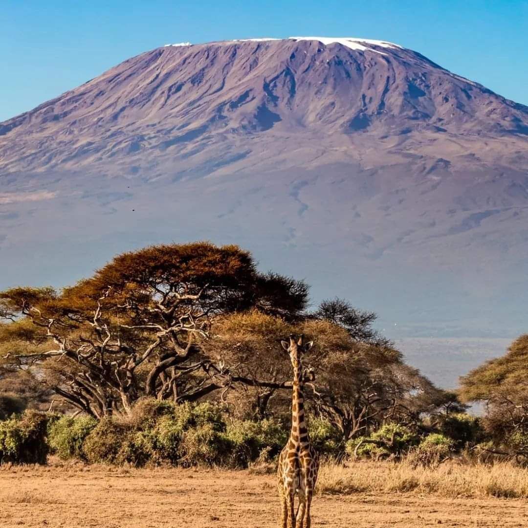 Image number 3 for 6 Days Kilimanjaro Climb Via Umbwe Route