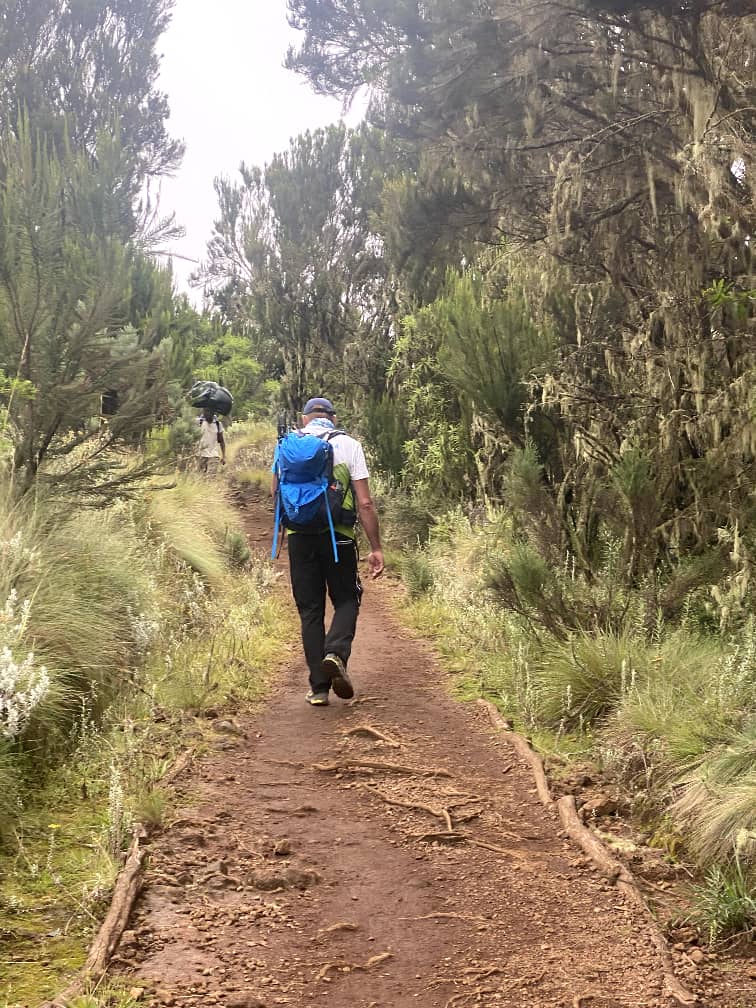 Image number 3 for 5-day Kilimanjaro Mountain Trekking-marangu Route