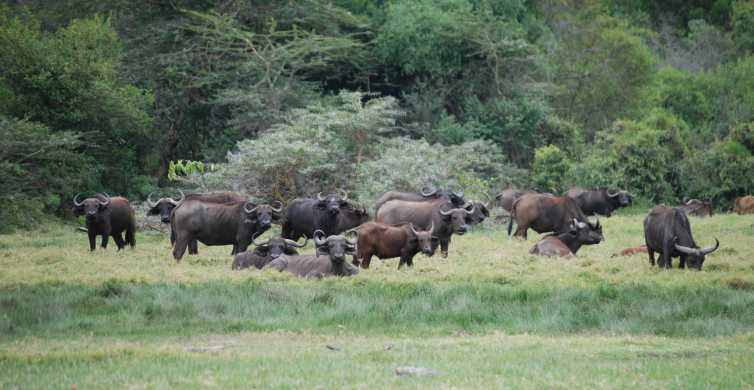 Image number 1 for Day Trip To Arusha National Park