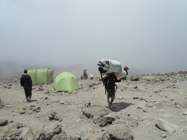 Image number 1 for Lemosho Route   - Kilimanjaro