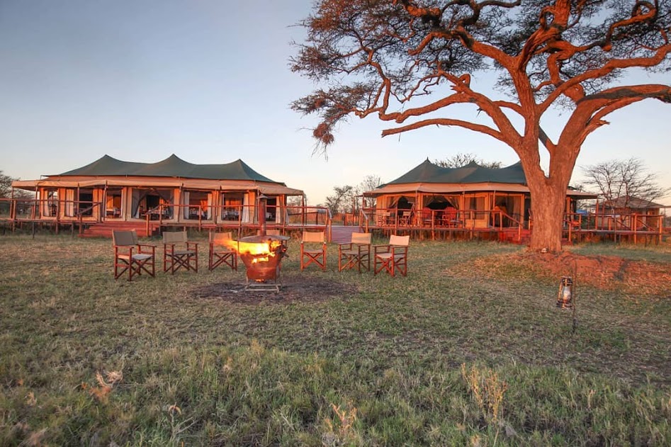 Image number 4 for 6 Days Serengeti Tented Camps Safari