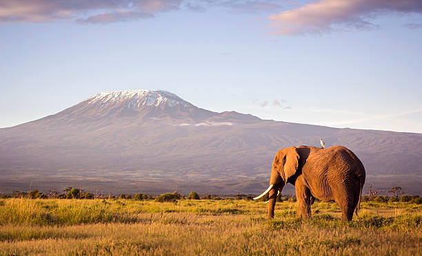 Image number 2 for Mountain Kilimanjaro Hiking