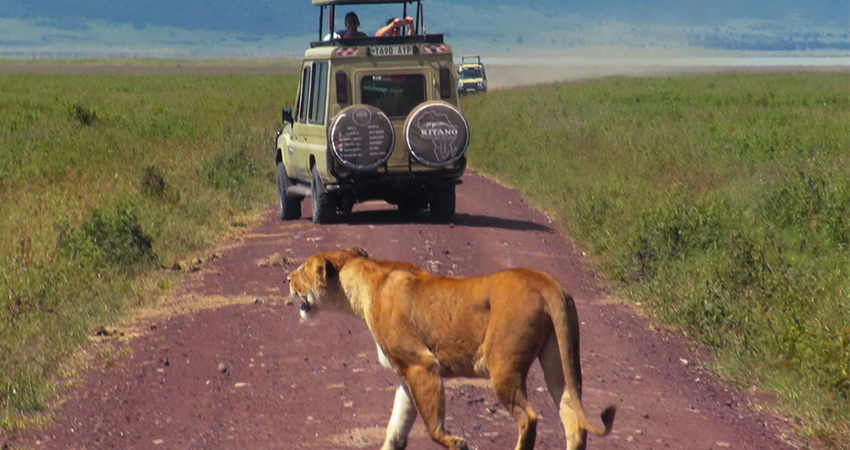 Image number 1 for 5 Days Sharing Tanzania Safari Tarangire