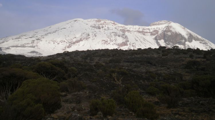 Image number 1 for 7 Days Machame Route Kilimanjaro 