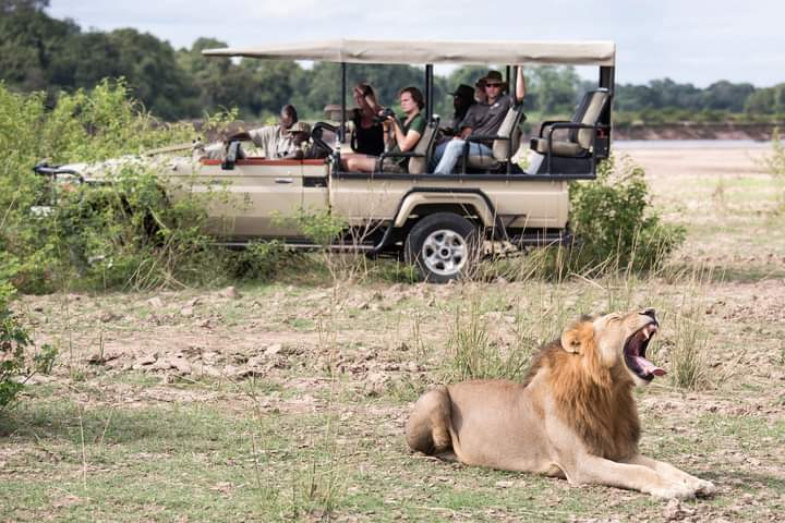 Image number 4 for Kenya’s Big Five Adventure: Samburu To Aberdares