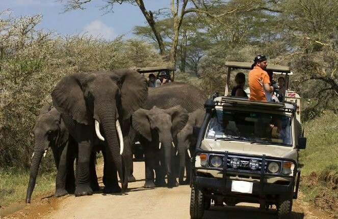 Image number 1 for Ngorongoro Crater  Day Trip