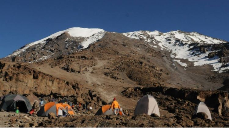 Image number 1 for 7 Days Lemosho Route Mount Kilimanjaro 