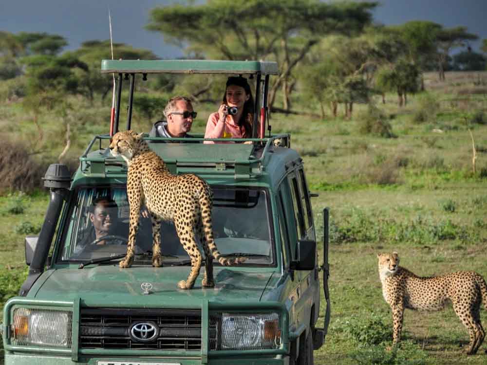 Image number 2 for 4 Days Safari To Murchison Falls N.p