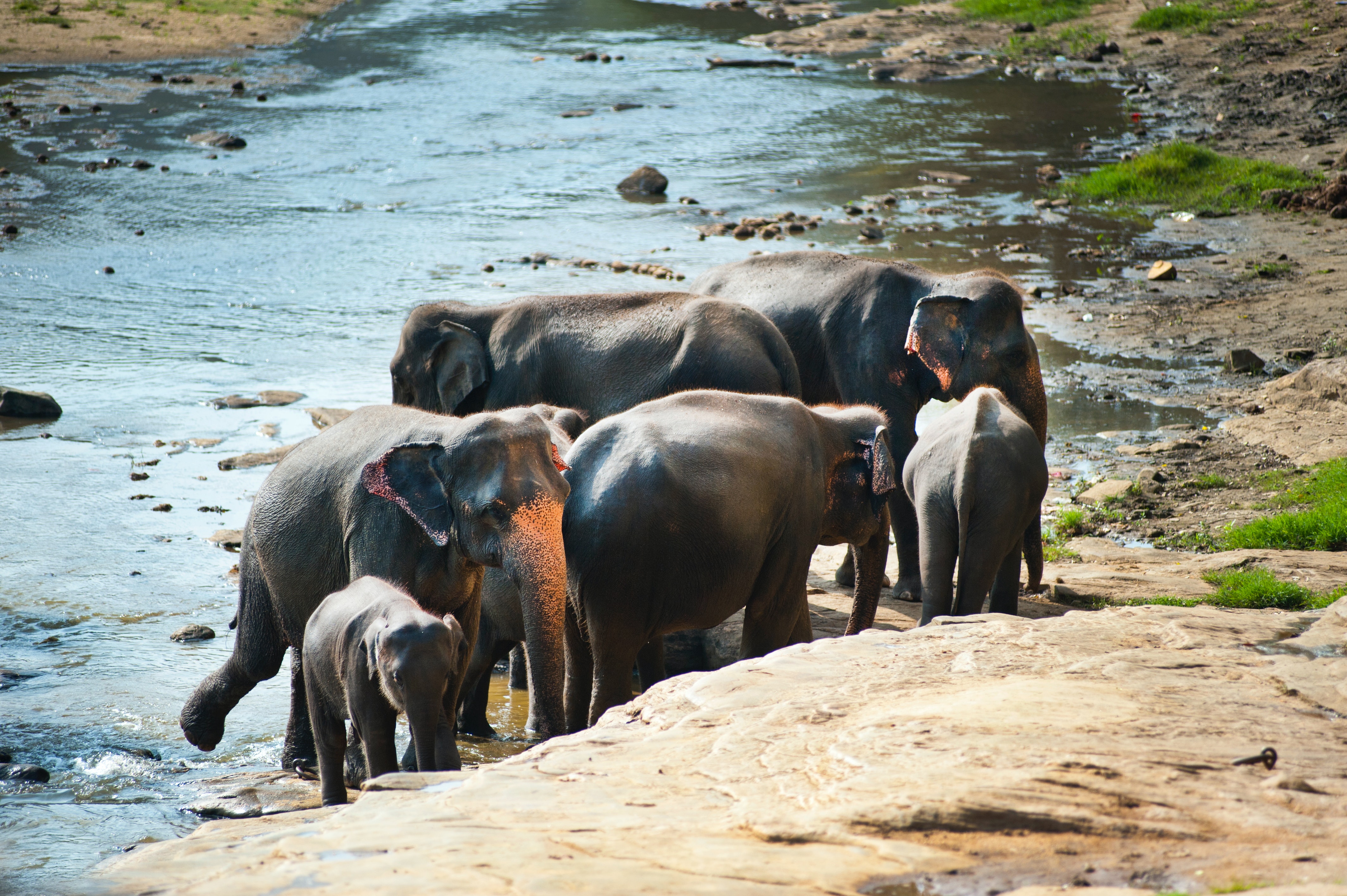 Image number 2 for 3 Days Serengeti Migration Safari