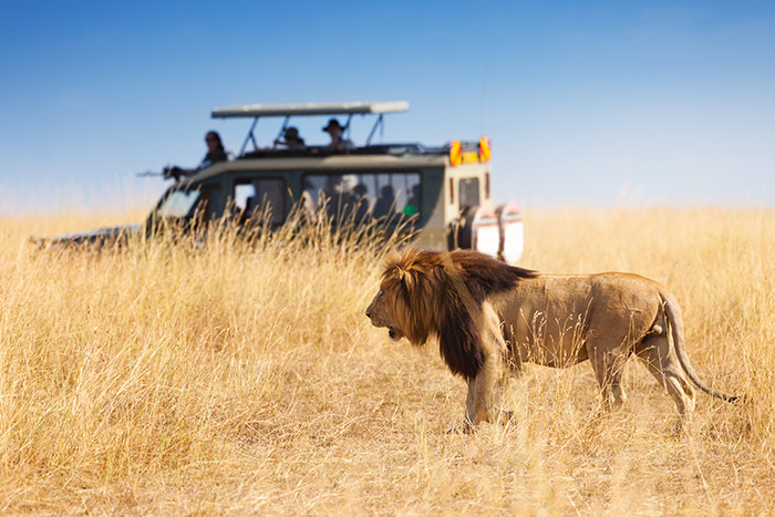 Image number 2 for Tanzania Camping Safaris