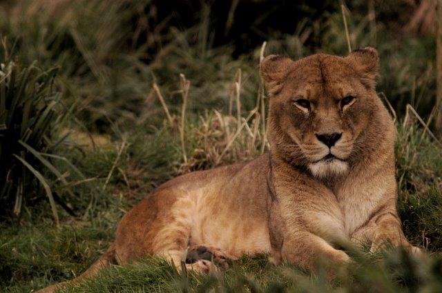 Image number 1 for 1 Day Tanzania Sharing Safari-manyara