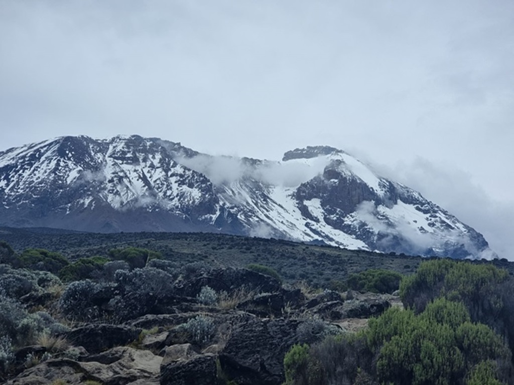 Image number 1 for #1. Best Kilimanjaro One Day Hike Tour.