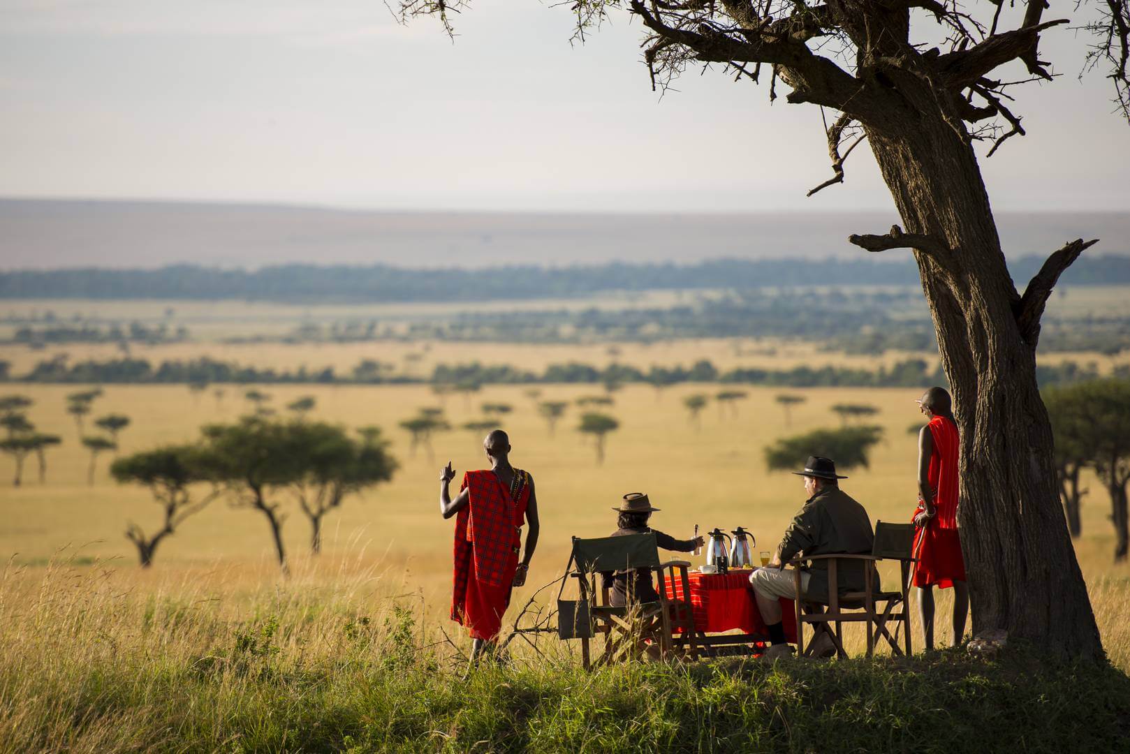 Image number 3 for  7-days Tanzania Lodge Safari