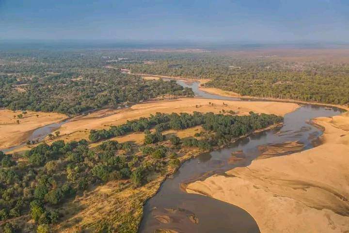 Image number 1 for 3 Days Safari To Selous Game Reserve