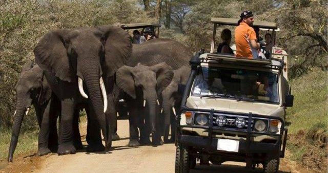 Image number 1 for 2 Days Tanzania Luxury Safari