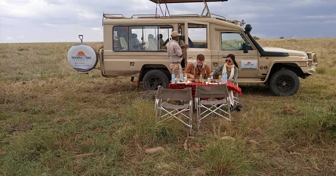 Image number 2 for 11 Day Great Serengeti Wildebeest Safari