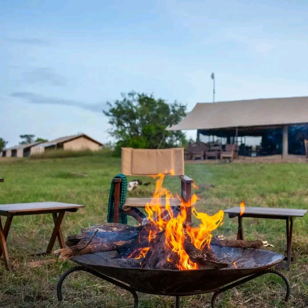 Image number 3 for Days Luxury Tanzania Safari.