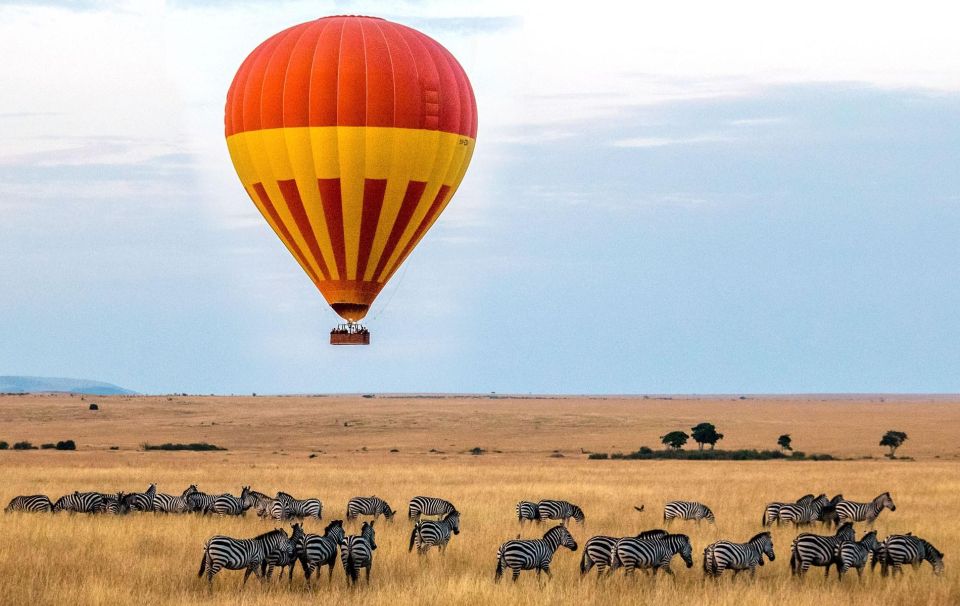 Image number 4 for 3-day Maasai Mara Getaway: Safari, 