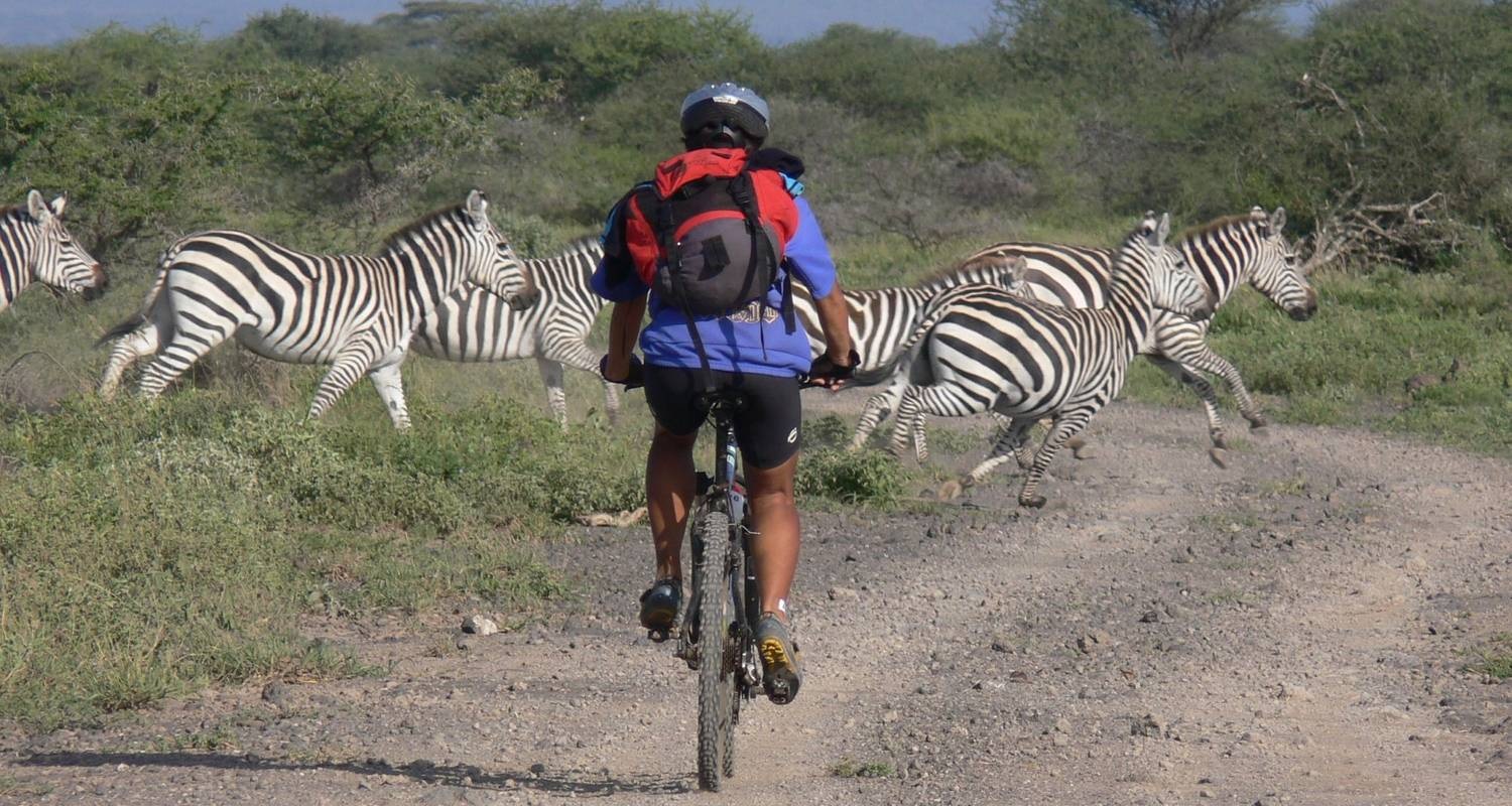 Image number 1 for 1 Day Bike Tour Arusha Cycling Safari