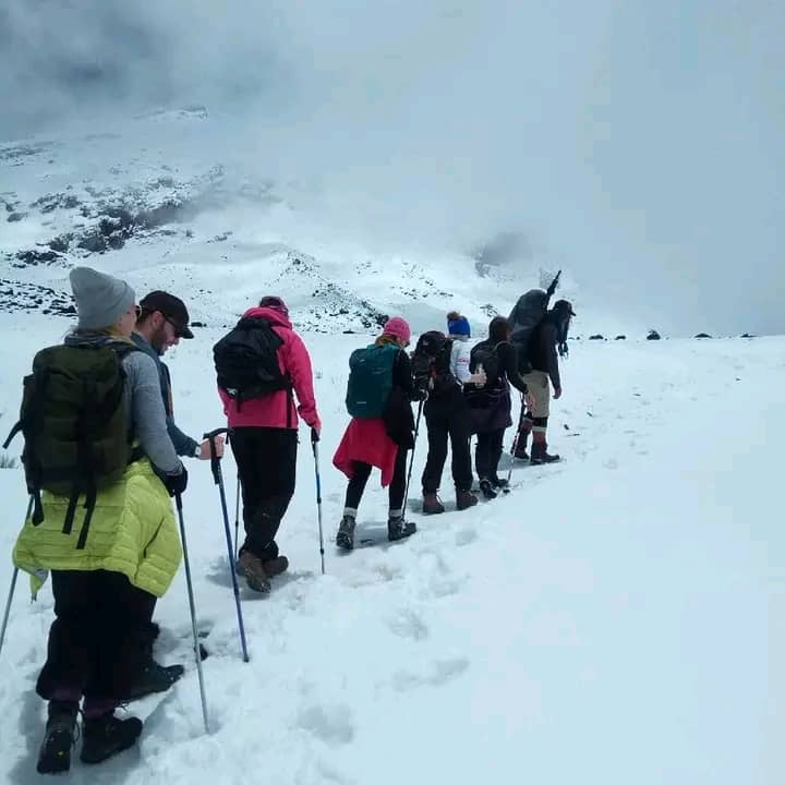 Image number 2 for Kilimanjaro Trekking 7 Days Lemosho Route