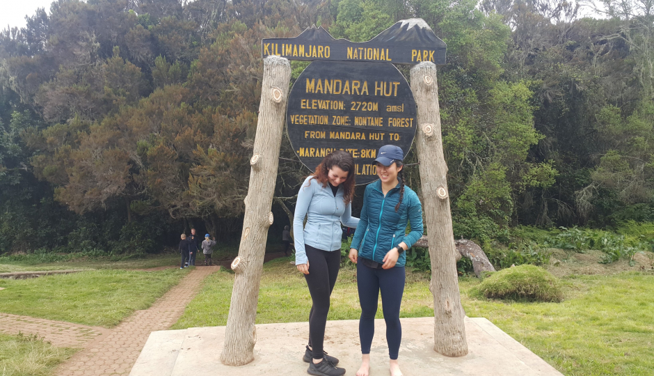 Kilimanjaro Day Hike 