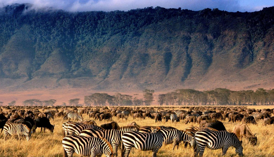 2 Day Safari To Tarangire And Ngorongoro