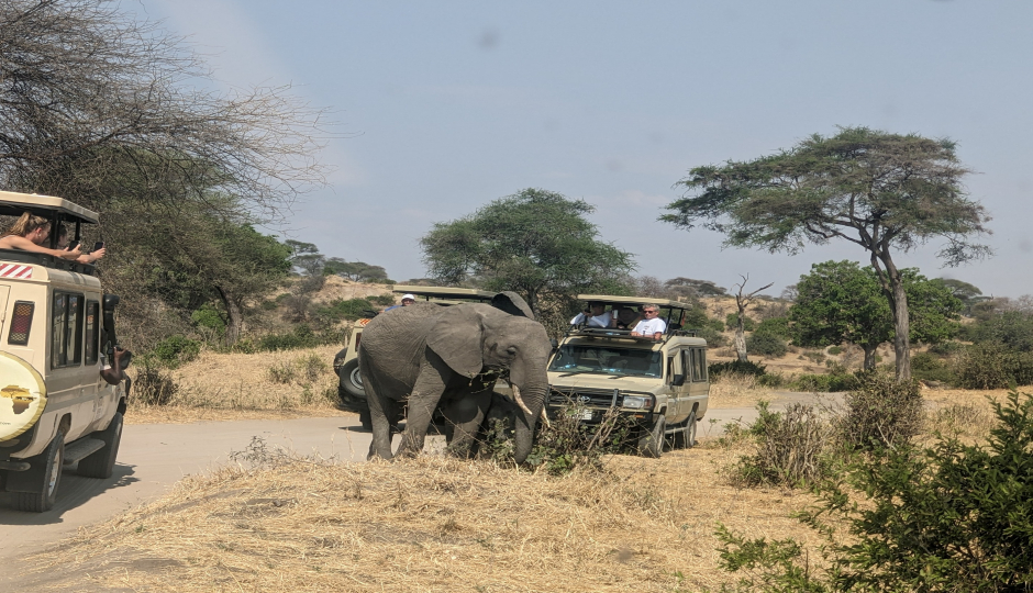 Tarangire, Serengeti Np And Ngorongoro