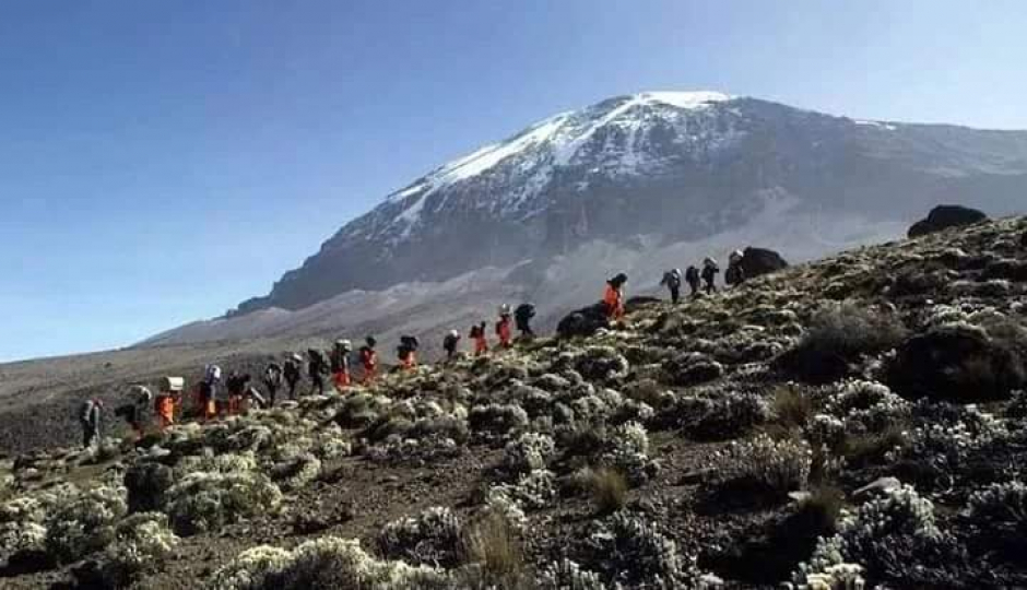 Slides Images for Day Trip Trekking Kilimanjaro