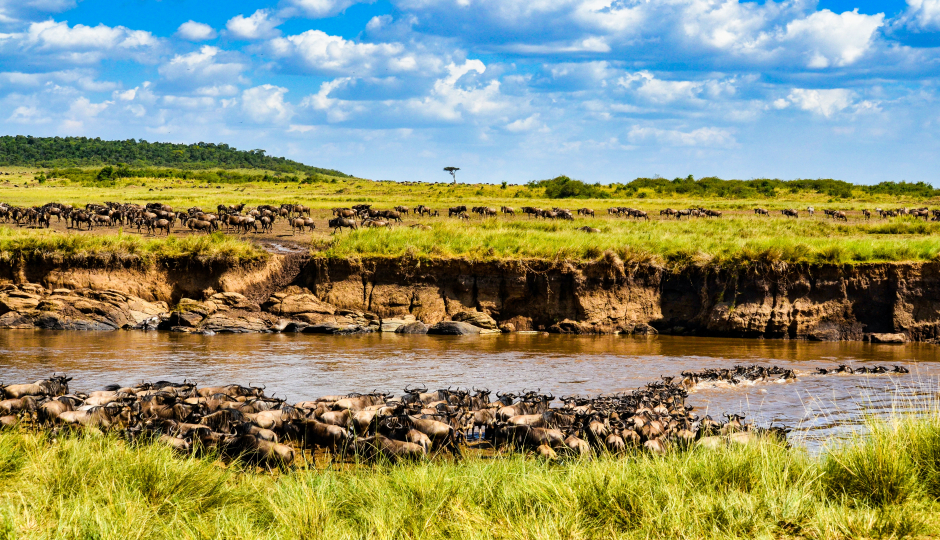 Slides Images for 7-day Serengeti Great Migration Safari