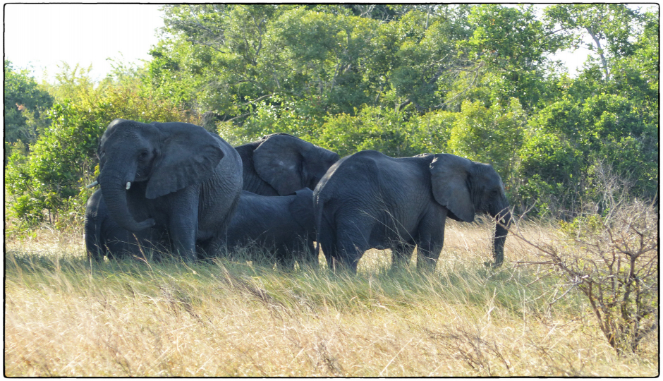 Slides Images for 2 Days Tanzania Luxury  Ngorongoro 