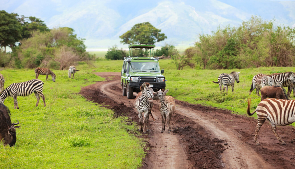 Cover Image - Being-in Africa Safari